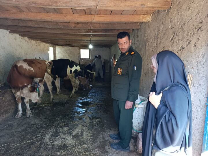 خدمات تخصصی جهادگران در روستای «زلم‌رودبار» ساری/ از واکسیناسیون دام تا ترویج فرهنگ ایثار