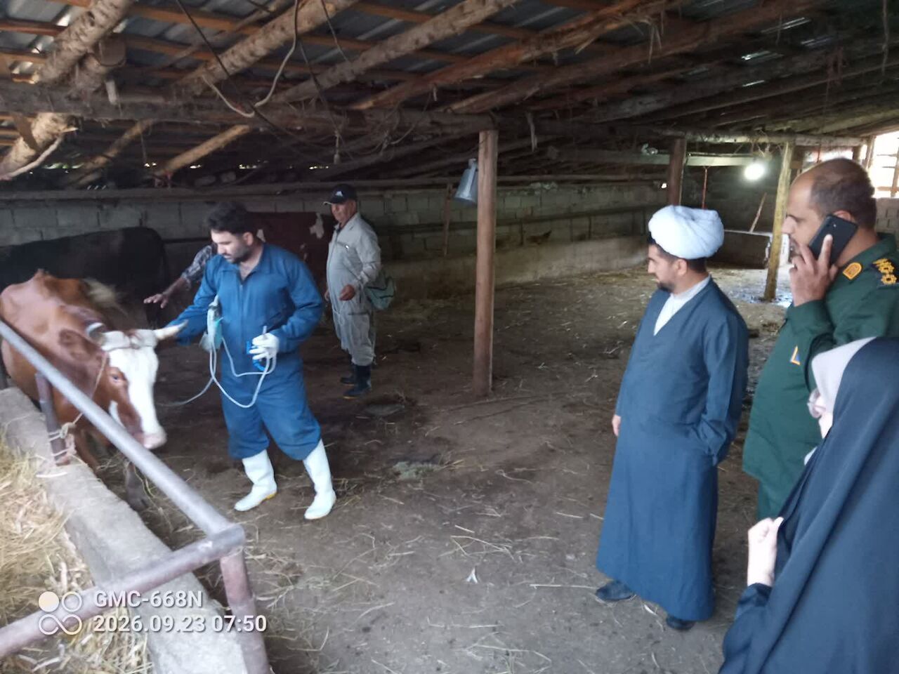 خدمات تخصصی جهادگران در روستای «زلم‌رودبار» ساری/ از واکسیناسیون دام تا ترویج فرهنگ ایثار