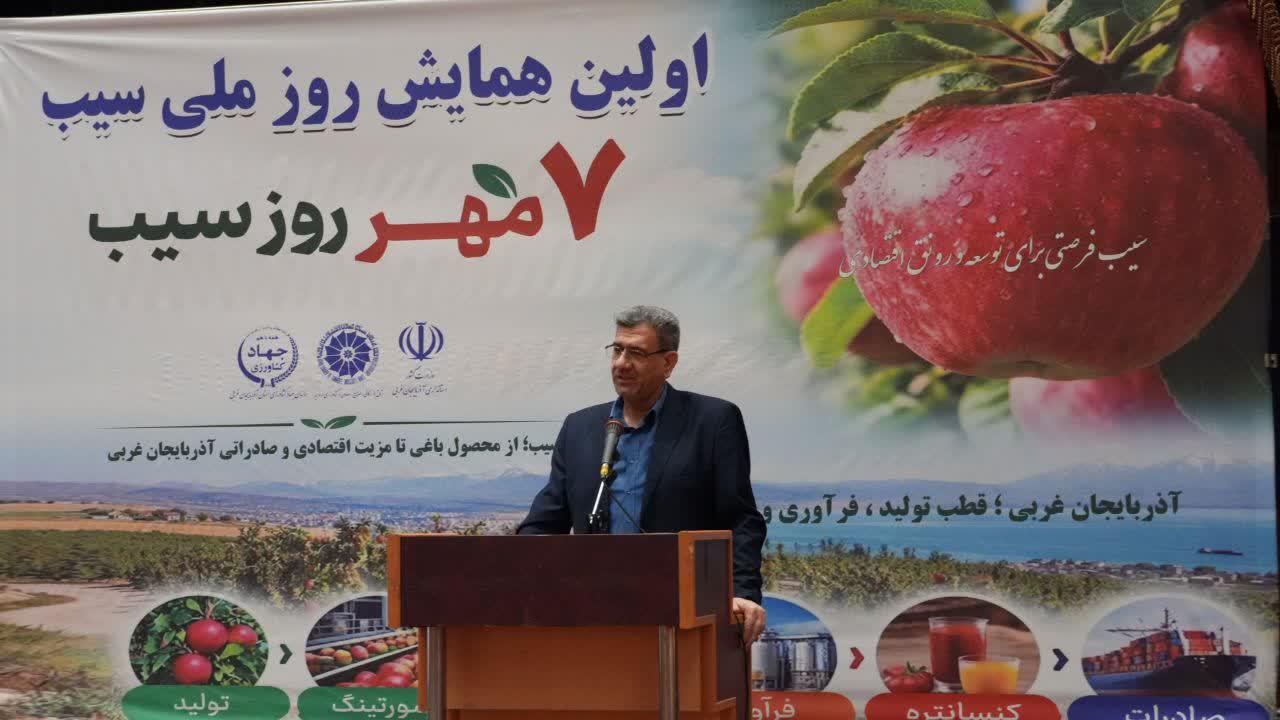 در شش ماهه امسال ۹۰ هزار تن سیب به ارزش ۳۶ میلیون دلار صادر شده است