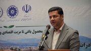 در شش ماهه امسال ۹۰ هزار تن سیب به ارزش ۳۶ میلیون دلار صادر شده است