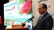 کشاورزی آذربایجان‌غربی باید از تولید خام به زنجیره ارزش و صادرات جهانی برسد