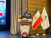 باید ابعاد و آثار حادثه بزرگ و تاریخی مدرسه شجره طیبه میناب در سطح بین‌المللی تبیین و ماندگار شود