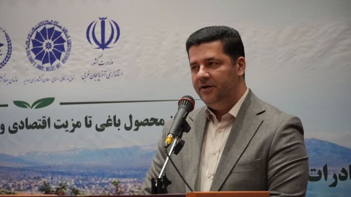 در شش ماهه امسال ۹۰ هزار تن سیب به ارزش ۳۶ میلیون دلار صادر شده است