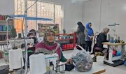 تصویب ۷۷۰ میلیارد ریال تسهیلات اشتغال‌زایی برای مددجویان کمیته امداد ایلام