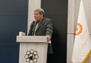 ضرورت توسعه خدمات روانشناختی سالمندان / ۸۰ درصد سلامت عمومی به سالم بودن روان و اجتماع وابسته است
