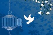 ادای نذر رتبه برتر کنکور با آزادی یک زندانی