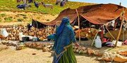 ضریب پوشش بیمه اجتماعی درجامعه روستایی و عشایری استان سمنان بالاتر از میانگین کشوری است