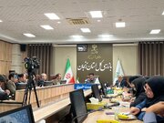 تشکیل ۳۱۹ پرونده بازرسی و محکومیت ۳۸ نفر در مراجع قضایی زنجان