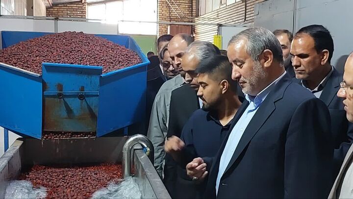 فرآوری محصولات کشاورزی، پیشران رونق تولید و اشتغال است