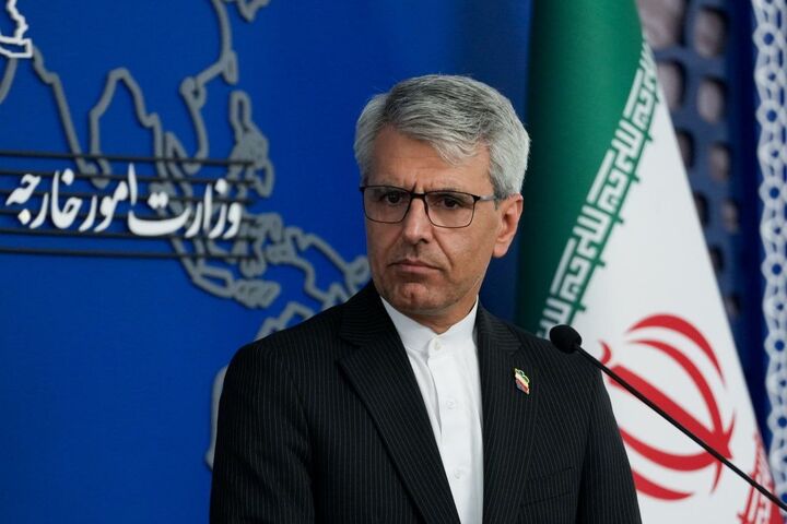 بقایی: آقای مکرون! حالا که آتش در خانهٔ خودتان افتاده و در آمریکا فریاد «نه به پادشاه» بلند است