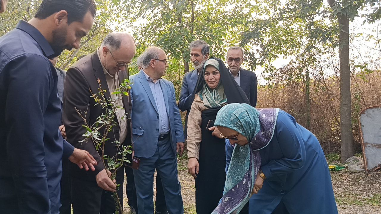 یاقوت بهشتی در بنبست فرآوری/ مرثیهای بر طلای سرخ باغات