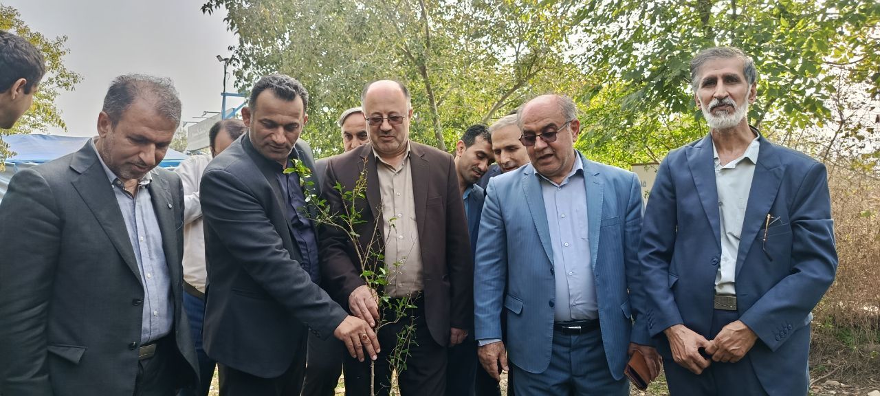 یاقوت بهشتی در بن‌بست فرآوری/ مرثیه‌ای بر طلای سرخ باغات