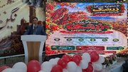 قیمت زرشک و بازار فروش؛ دو دغدغه اصلی کشاورزان قاینات است