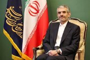 جانشین رییس شورای‌عالی سیاست‌گذاری کنگره شهدای هنرمند منصوب شد