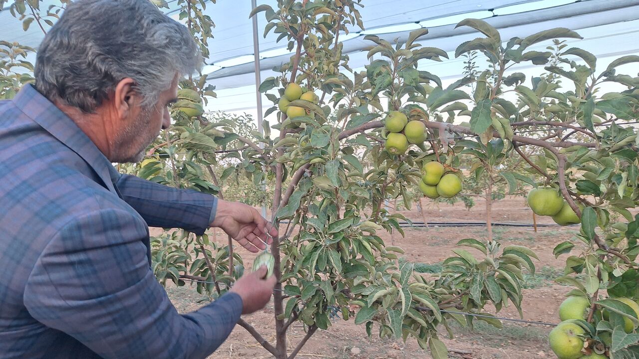 آغاز پویش «نذر درخت» برای توسعه و بازسازی عتبات عالیات در اراک