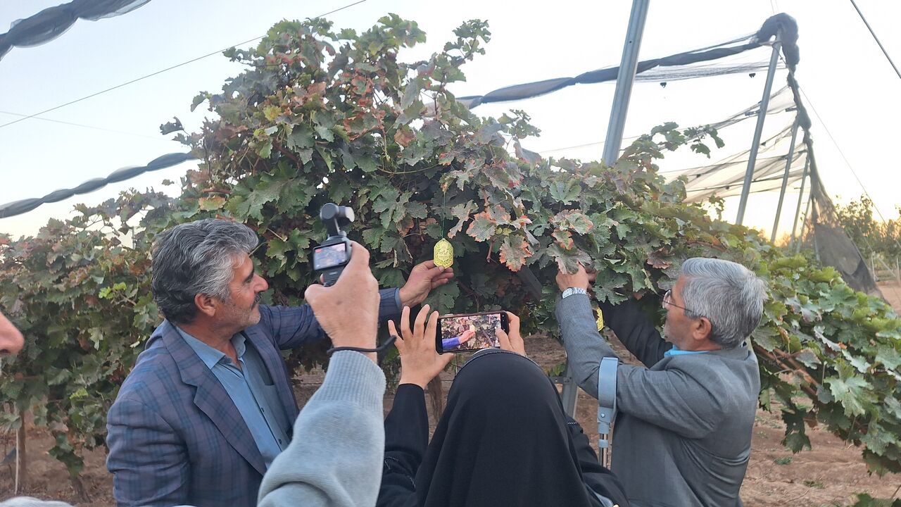 آغاز پویش «نذر درخت» برای توسعه و بازسازی عتبات عالیات در اراک