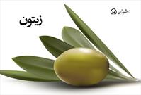 رشد صنعت زیتون استان در گرو توسعه صنایع تبدیلی و یارانه های حمایتی است