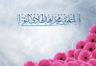 ۱۰۰ نسخه خطی از امام هادی(ع)در گنجینه کتب رضوی نگهداری می شود