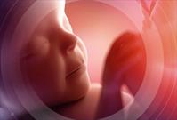 طرح «نفس»  در فارس مانع سقط  ۲۰ جنین شد