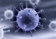 موردی از شیوع آنفولانزا در گلستان گزارش نشده است