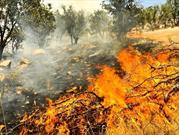 اختصاص ۱۵ میلیارد تومان برای مقابله با آتش‌سوزی جنگل‌ها