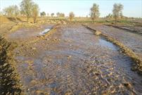 سیل به ۷۲ هکتار از اراضی مانه و سملقان خسارت زد