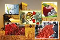 مشوق‌های تجاری بر افزایش محصولات کشاورزی تاثیر داشت