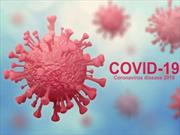شناسایی ۱۴ مورد ابتلا به کرونا ویروس در استان مرکزی