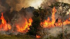۱۵۰۰ هکتار از مراتع استان قزوین دچار آتش سوزی شده‌ اند