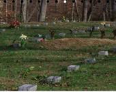 جلوگیری از ساخت قبرستان اسلامی در «استفورد» آمریکا