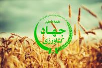 مسیر رونق تولید در صنعت کشاورزی باید هموارتر شود