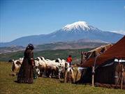 ۱۴۷ هزار خانوار روستایی و عشایری فارس تحت پوش بیمه  قرار دارند