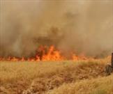 رشد ۷۰ درصدی آتش‌ سوزی مراتع در کاشان