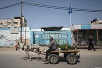 بیکاری کارگران فلسطینی در نوار غزه افزایش یافته است