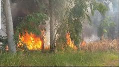 مهار آتش‌سوزی جنگل‌های اوکالیپتوس دزفول