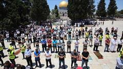 اقامه نماز جمعه ۱۰ هزار فلسطینی در مسجدالاقصی