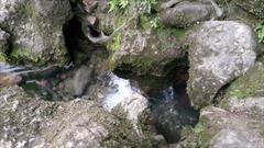 چشمه ای اسرارآمیز در دل روستای فَکِجوَر/ «دمکش» و  راز سربه مهرش برای طبیعت‌گردان