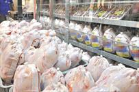 ​برنامه ریزی برای تولید دو میلیون و ۷۰۰ هزار تن گوشت مرغ در کشور
