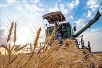 قیمت گندم و آرد تغییر نکرده است/ انجام تعدیل نرخ نان با توجه به شرایط متفاوت شهرستان‌ها