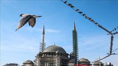 بازدید اردوغان از مکان ساخت مسجد«تقسیم» استانبول