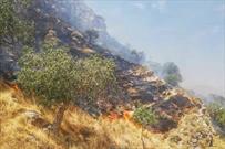 مهار آتش در ارتفاعات روستای «همنده» جهرم