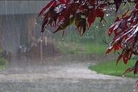 بیشترین بارش در شهرستان مشگین شهر ثبت شده است