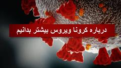 همه موارد کمک کننده به سلامتی و آرامش در مبارزه با کرونا مؤثر است