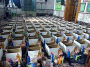 ۱۱۰ بسته کمک معیشتی بین نیازمندان بندر کیاشهر  توزیع شد