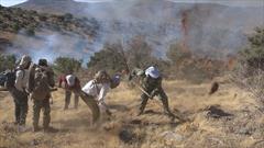 آتش سوزی منطقه گردشگری گلیل مهار شد