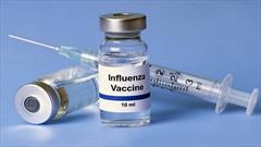 نخستین محموله واکسن آنفلوآنزا وارد خراسان جنوبی شد/ توزیع در مراکز بهداشتی درمانی