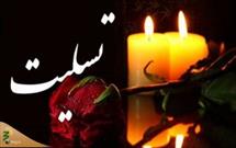 پیام تسلیت نماینده ولی فقیه در امور حج و زیارت در پی درگذشت خانم بهشتی