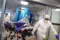 ۵۳۰ بیمار مبتلا به کرونا در بیمارستان های قزوین بستری هستند