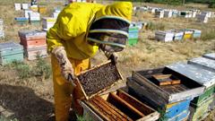تولید ۱۰ هزار کیلوگرم عسل در سربیشه