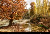 طبیعت زیبای روستای فیروزه